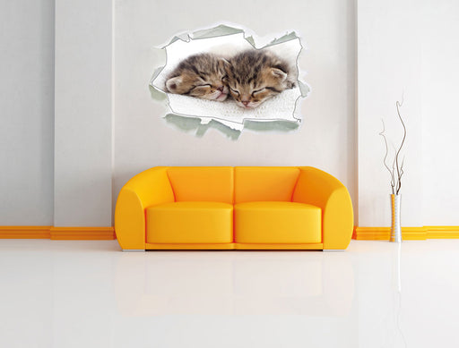 Schlummernde Kätzchen 3D Wandtattoo Papier Wand
