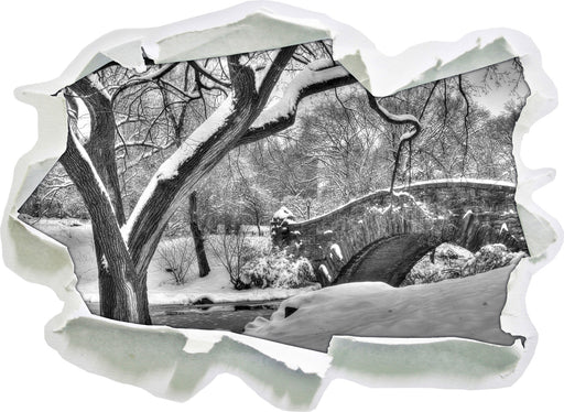 Central Park New York  3D Wandtattoo Papier