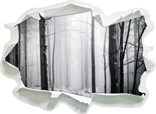 Mystischer Wald  3D Wandtattoo Papier
