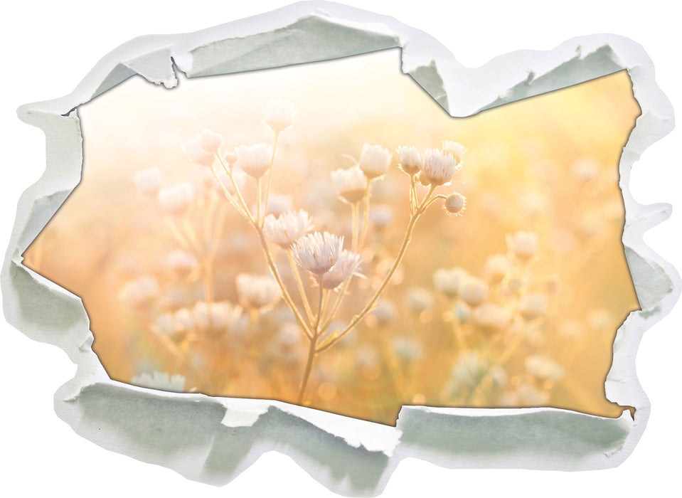 Pixxprint Romantische Blumenwiese, 3D Wandtattoo