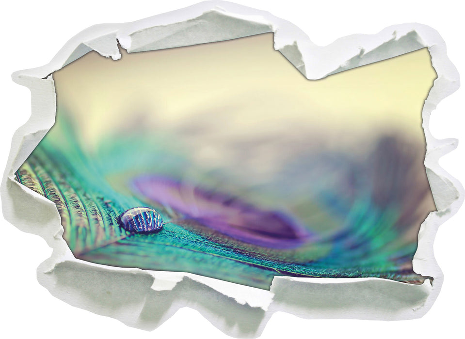 Pixxprint Pfauenfeder Detailaufnahme, 3D Wandtattoo
