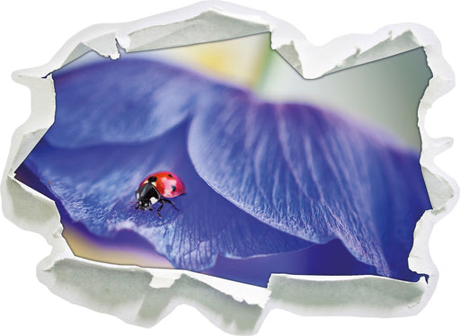 Marienkäfer auf lila Blüte  3D Wandtattoo Papier