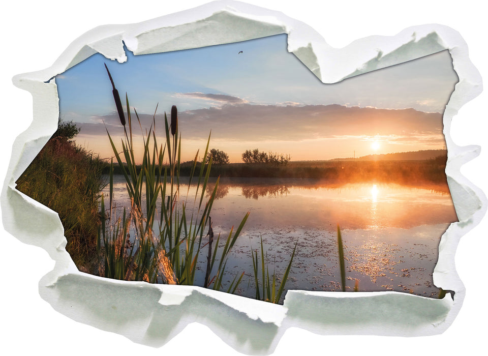 Pixxprint Sonniger Morgen, 3D Wandtattoo