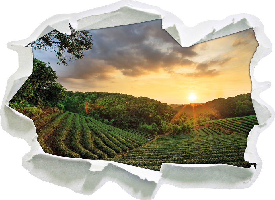 Pixxprint Teeplantage bei Sonnenuntergang, 3D Wandtattoo