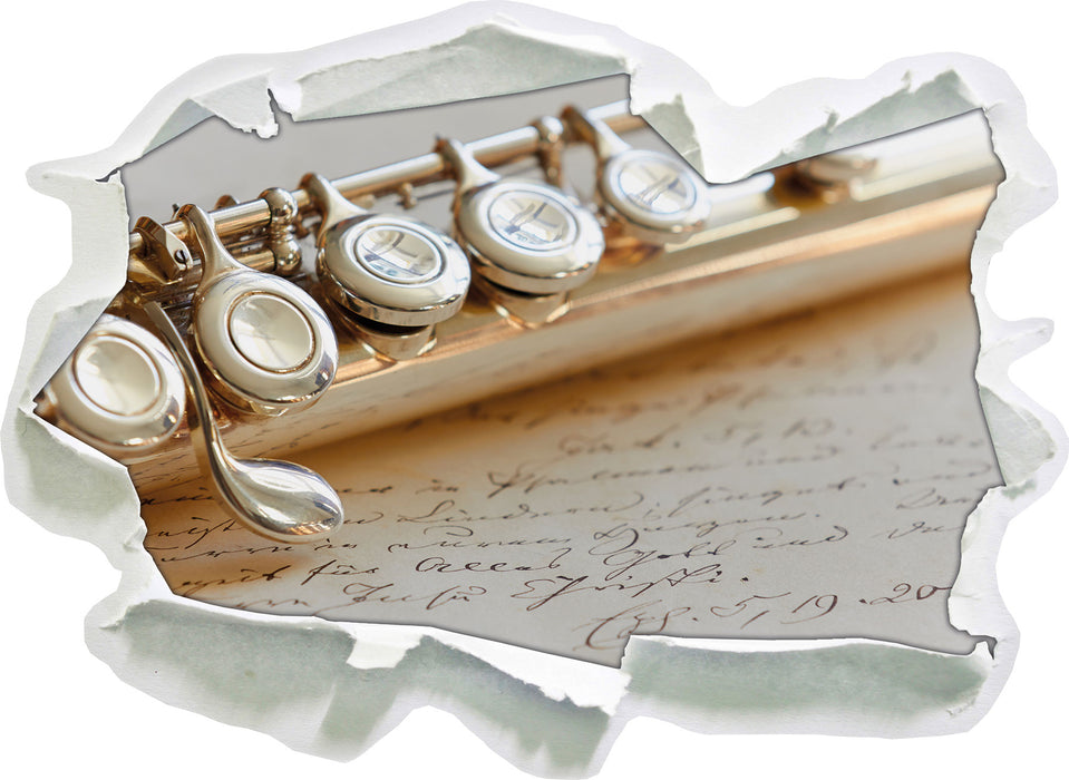 Pixxprint Detailaufnahme einer Querflöte, 3D Wandtattoo