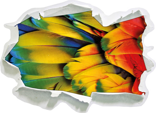 Bunte Papageienfedern  3D Wandtattoo Papier