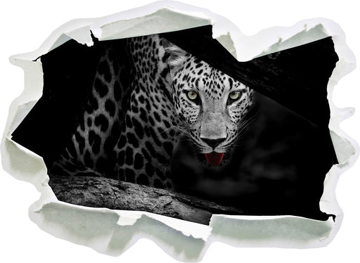 Neugieriger Gepard 3D Wandtattoo Papier