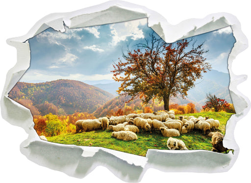 Romanian Carpathians Gebirge  3D Wandtattoo Papier