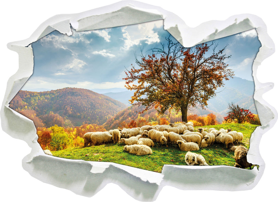 Romanian Carpathians Gebirge  3D Wandtattoo Papier
