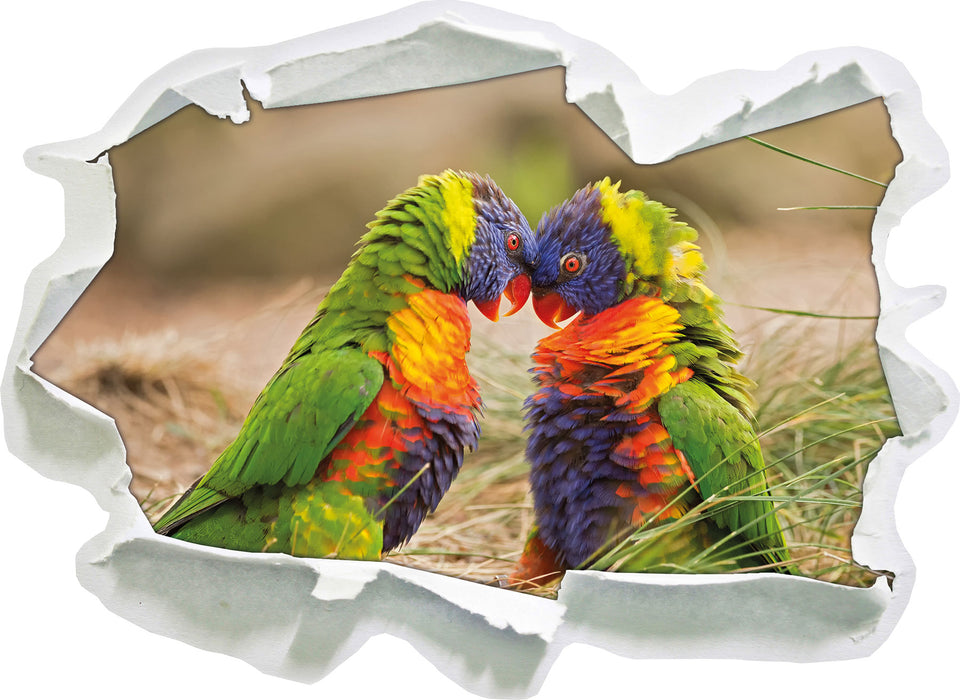 Pixxprint Kämpfende Allfarblori, 3D Wandtattoo