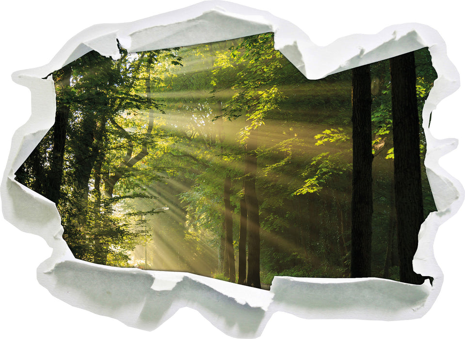 Pixxprint Waldweg im Frühling, 3D Wandtattoo