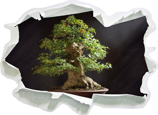 Kleiner Bonsaibaum  3D Wandtattoo Papier