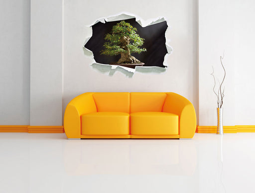 Kleiner Bonsaibaum 3D Wandtattoo Papier Wand