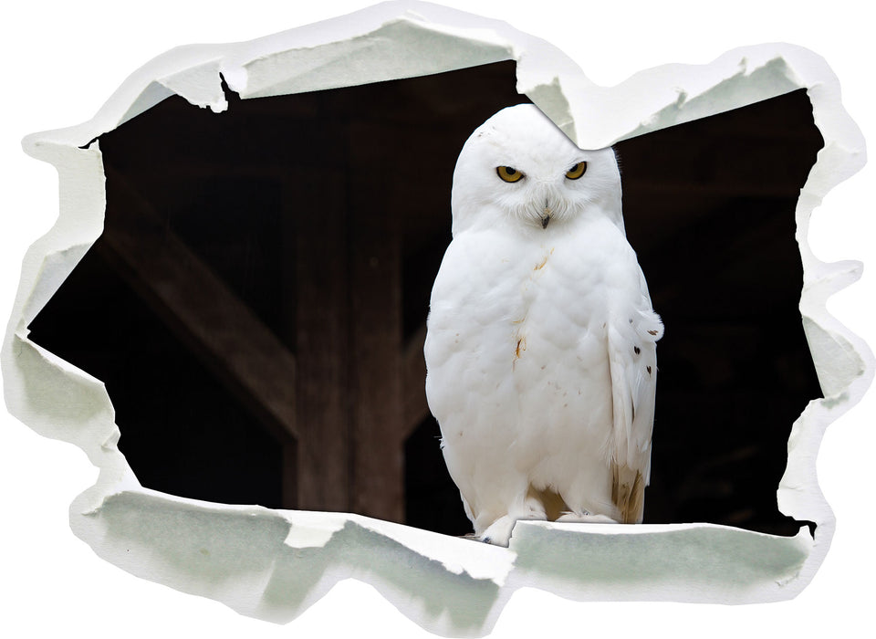 Pixxprint Weiße Schneeeule, 3D Wandtattoo