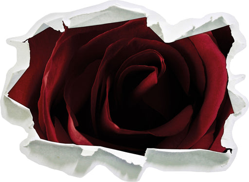 Rote Rose  3D Wandtattoo Papier