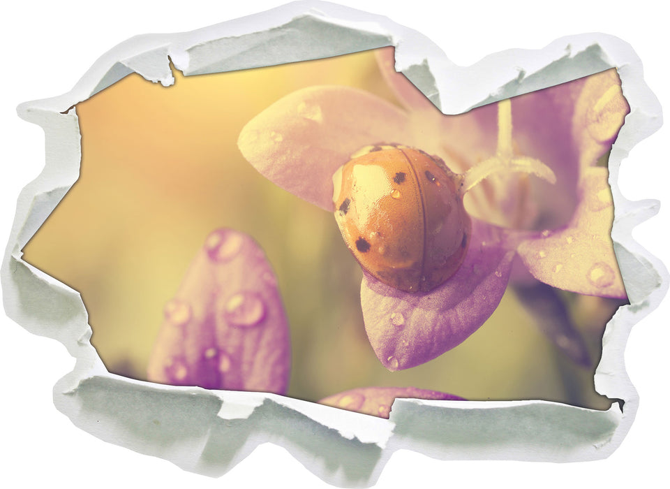 Marienkäfer auf Blüte  3D Wandtattoo Papier