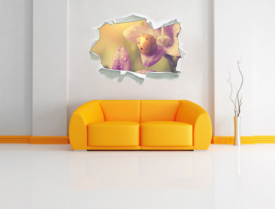 Marienkäfer auf Blüte 3D Wandtattoo Papier Wand
