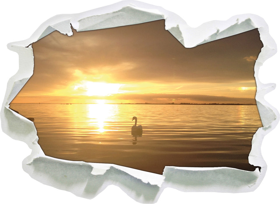 Pixxprint Einsamer Schwan auf See, 3D Wandtattoo