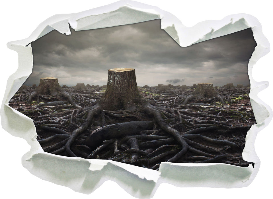 Pixxprint Gerodeter Wald, 3D Wandtattoo