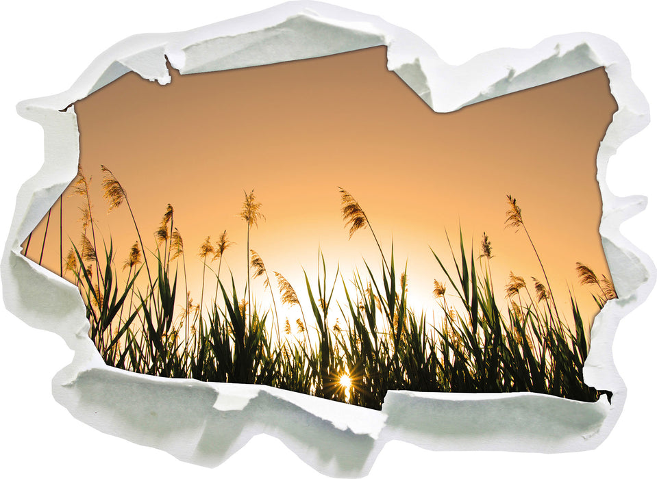 Pixxprint Schilfufer bei Dämmerung, 3D Wandtattoo