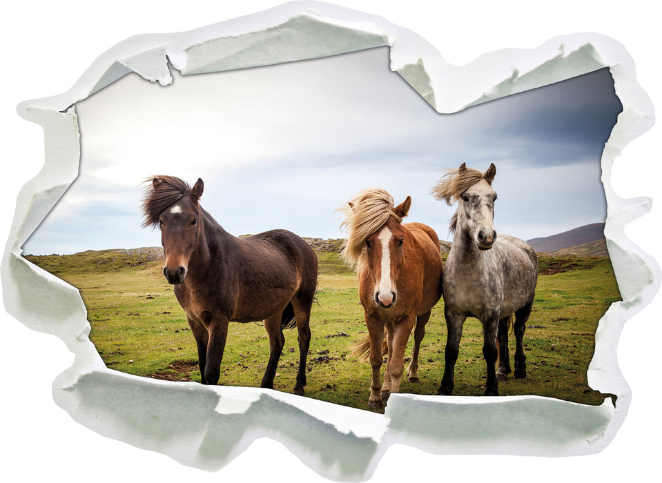 Pixxprint Drei wilde Islandpferde, 3D Wandtattoo