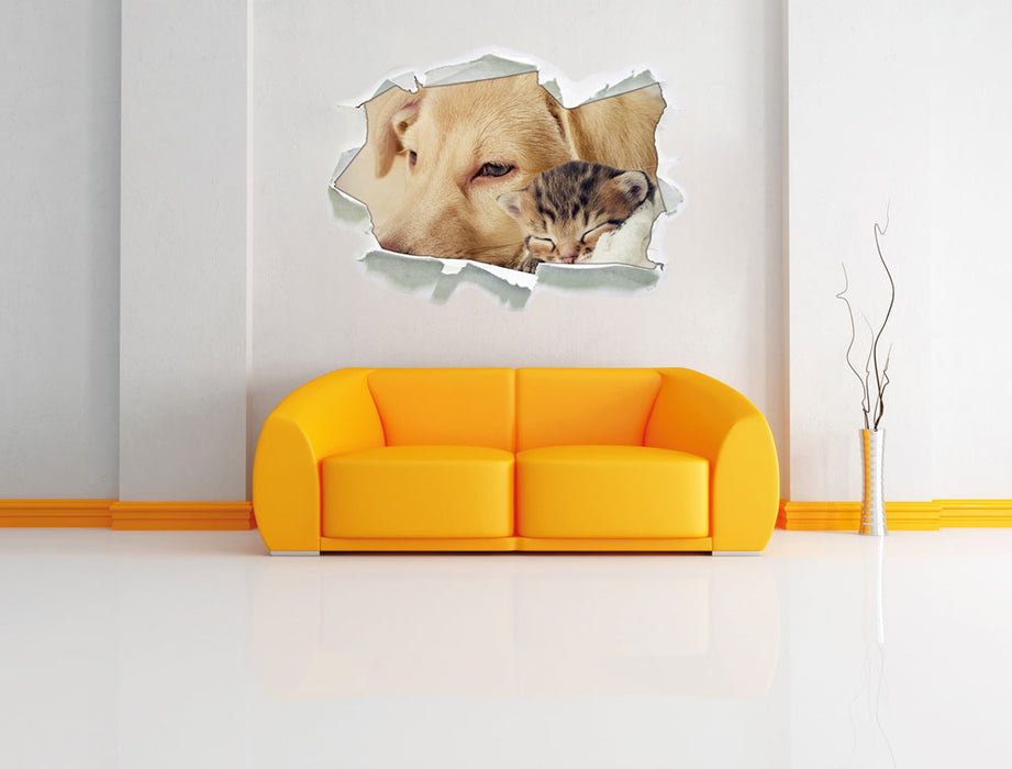 Träumendes Kätzchen neben Hund 3D Wandtattoo Papier Wand