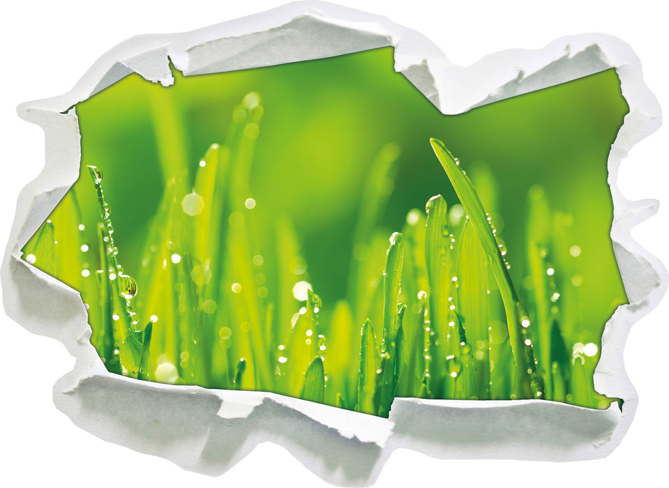 Pixxprint Grashalme mit Tauwasser, 3D Wandtattoo