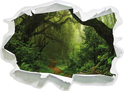 Mystischer Regenwald  3D Wandtattoo Papier
