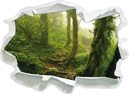 Unberührter Regenwald  3D Wandtattoo Papier
