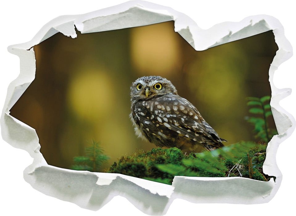 Pixxprint Niedliche Babyeule, 3D Wandtattoo