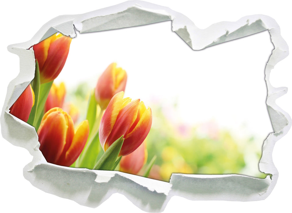 Bunte Tulpenwiese  3D Wandtattoo Papier