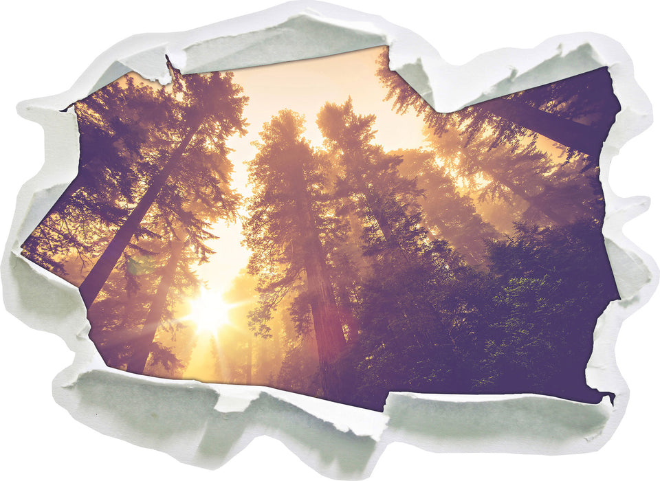 Pixxprint Blick in die Baumwipfel, 3D Wandtattoo