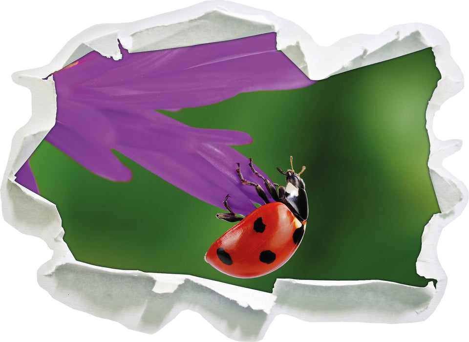Pixxprint Marienkäfer auf Gerberablüte, 3D Wandtattoo
