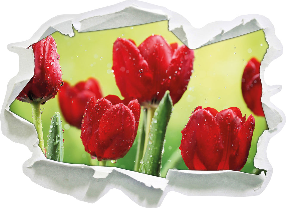 Pixxprint Rote Tulpen mit Tropfen bedeckt, 3D Wandtattoo