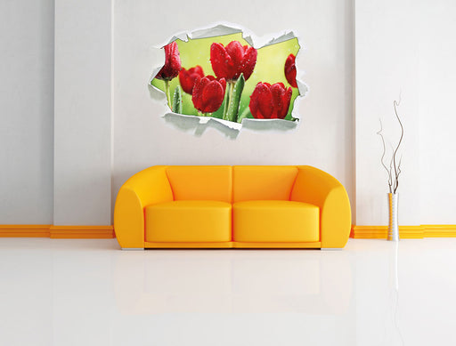 Rote Tulpen mit Tropfen bedeckt 3D Wandtattoo Papier Wand