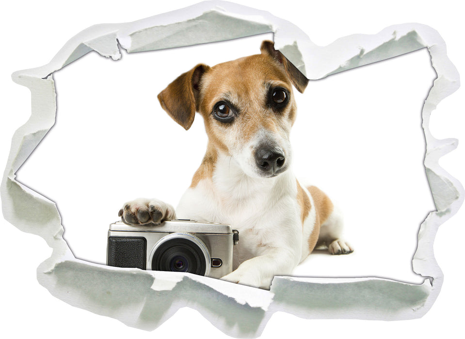 Niedlicher Hundewelpe mit Kamera  3D Wandtattoo Papier
