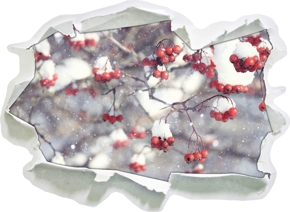 Pixxprint Vogelbeeren mit Schnee bedeckt, 3D Wandtattoo
