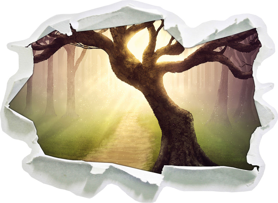 Pixxprint Baum am Waldweg, 3D Wandtattoo