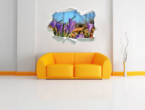 Exotische lila Krokusse 3D Wandtattoo Papier Wand