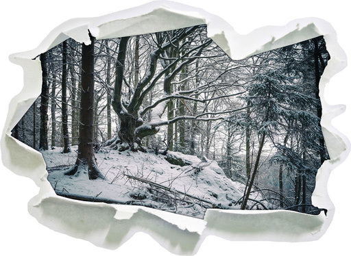 Wald mit Schnee bedeckt  3D Wandtattoo Papier