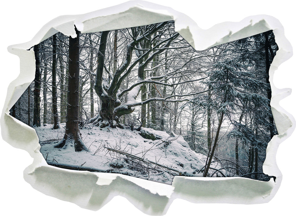 Pixxprint Wald mit Schnee bedeckt, 3D Wandtattoo