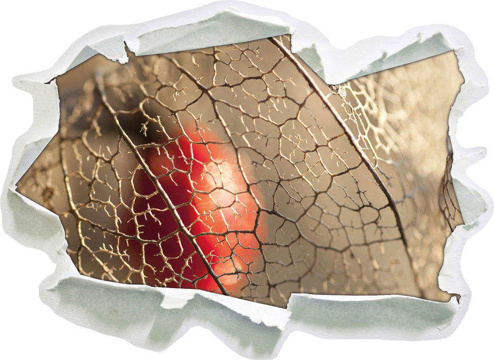 Pixxprint Rote Physalis, 3D Wandtattoo