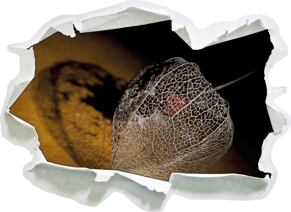 Pixxprint Schatten einer Physalis, 3D Wandtattoo