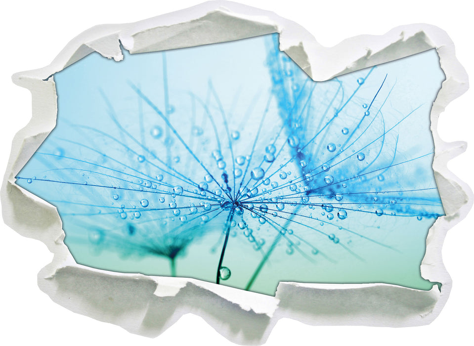 Pixxprint Pusteblume bedeckt mit Tropfen, 3D Wandtattoo