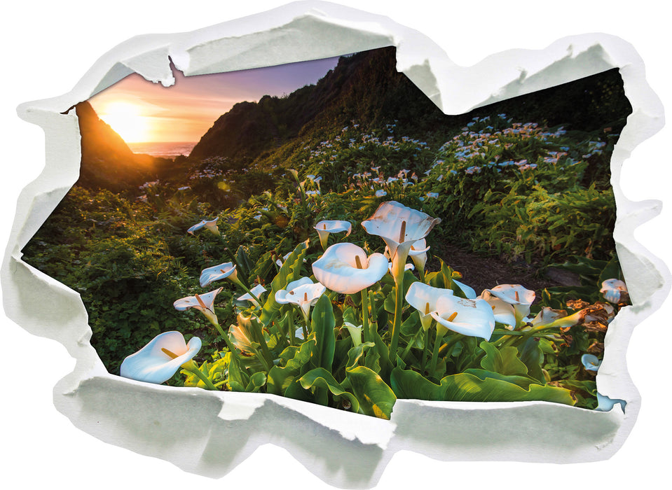 Pixxprint Blumenwiese in den Bergen, 3D Wandtattoo