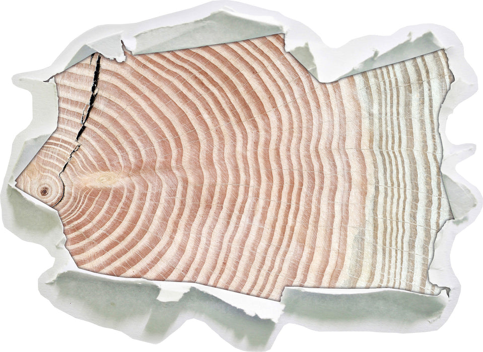 Pixxprint Baumstamm Jahresringe, 3D Wandtattoo