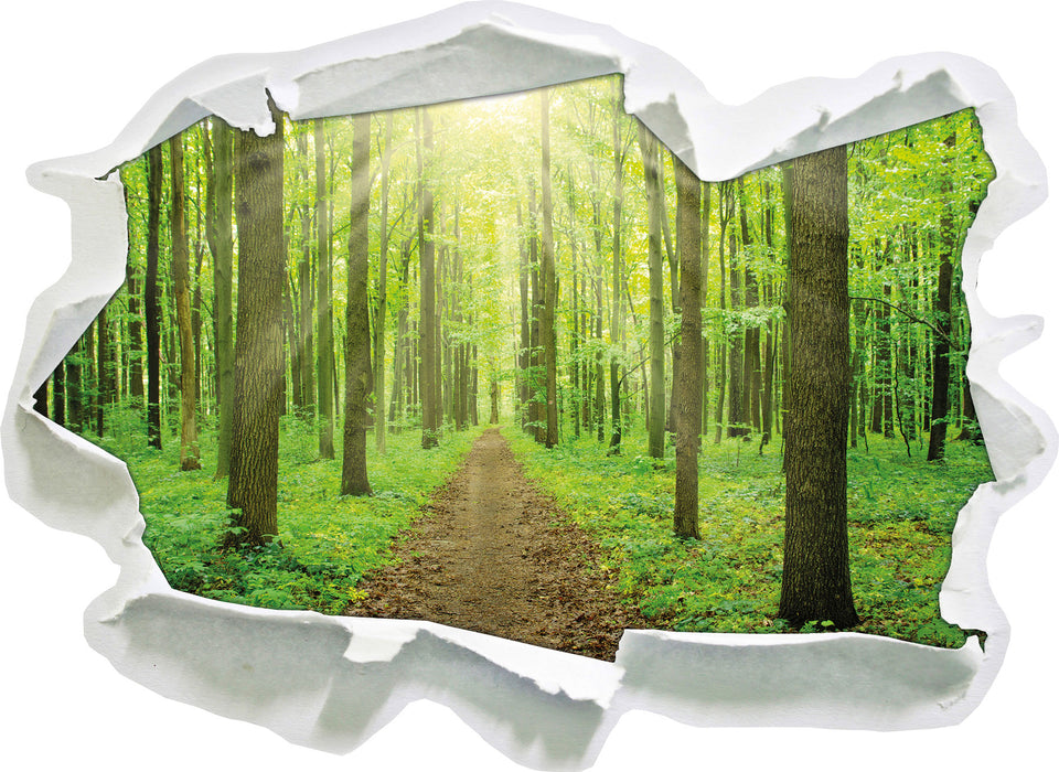 Pixxprint Sonne im Wald, 3D Wandtattoo