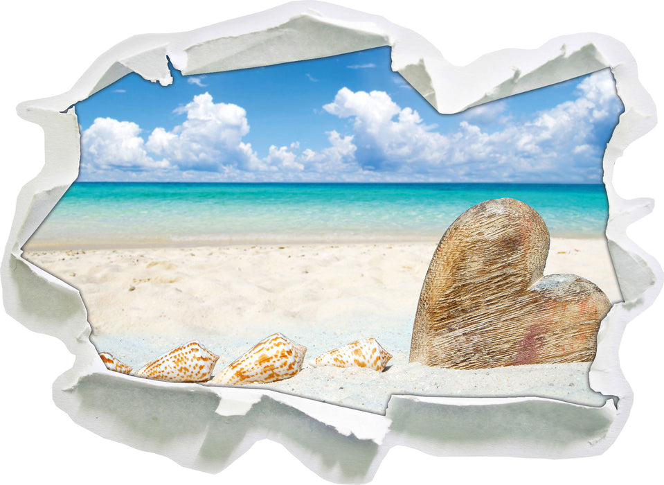 Pixxprint Sandstrand mit Muscheln, 3D Wandtattoo