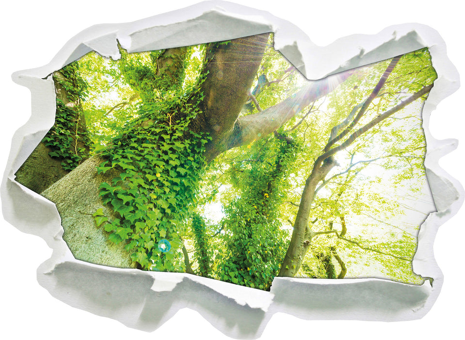 Pixxprint Baum im Sonnenlicht, 3D Wandtattoo