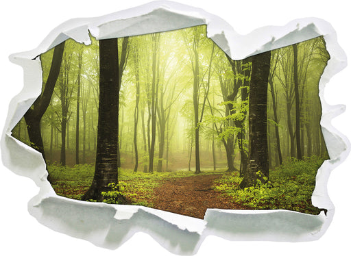 Weg in den Wald 3D Wandtattoo Papier